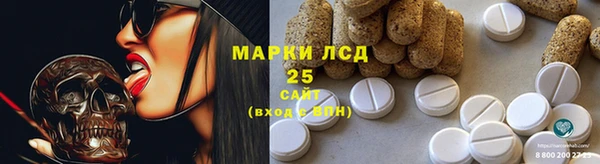 прущие крисы Арсеньев