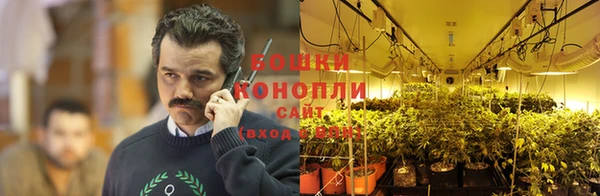 стаф Баксан