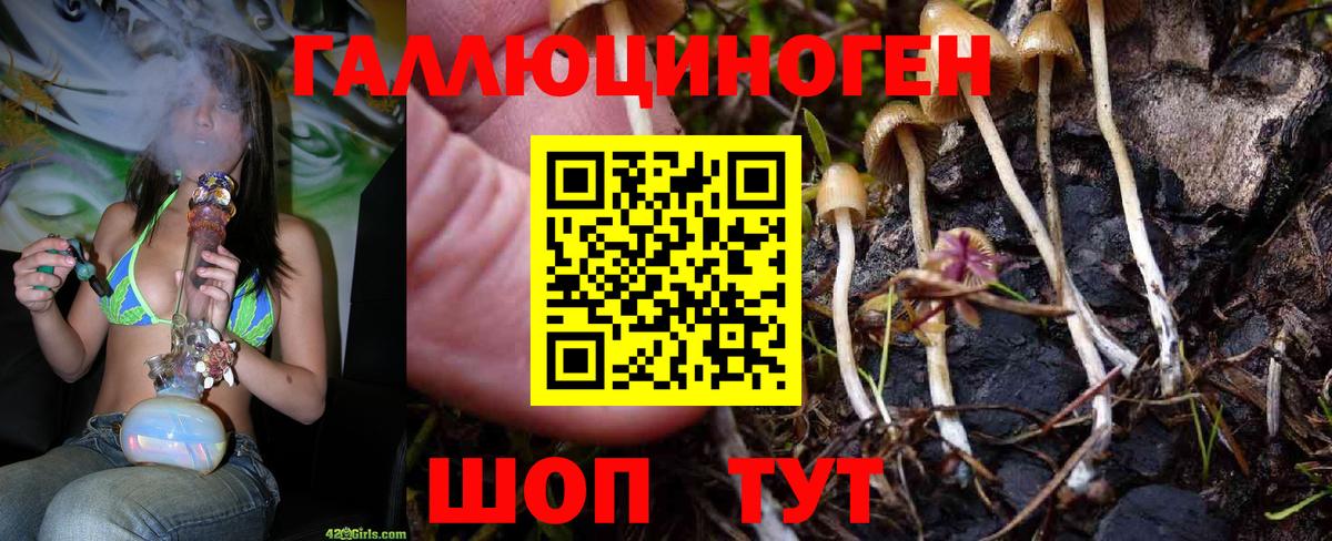 где купить наркотик  Псилоцибиновые грибы Magic Shrooms  Вход с VPN  Лянтор 
